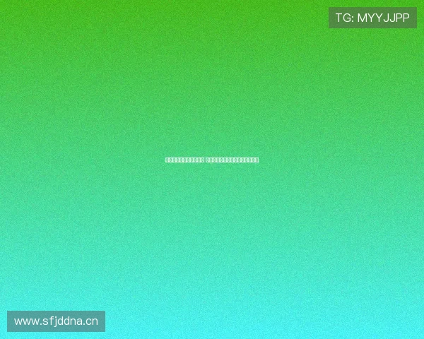 黑白足球直播网全新升级 提供最全实时赛事直播与分析服务